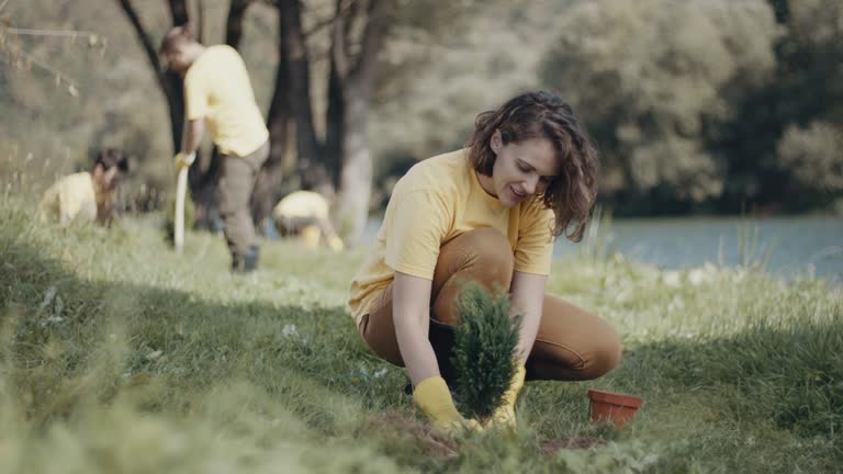 Lawn Renovation and Restoration in Falling Water, TN
