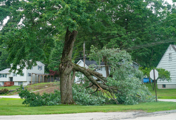 Best Firewood Processing and Delivery  in Falling Water, TN